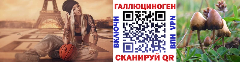 Псилоцибиновые грибы GOLDEN TEACHER  Белоусово 